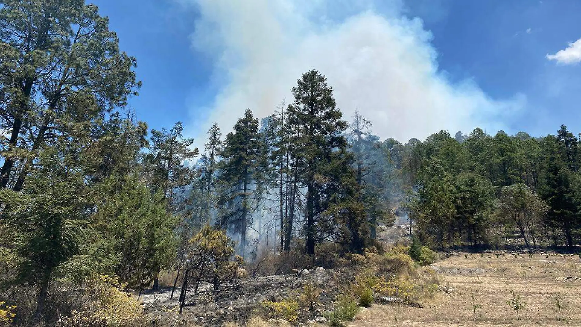 El incendio forestal de comenzó en Libres y avanzó hacia el territorio de Ixtacamaxtitlán y Ocotepec